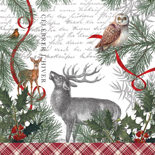Winter Woodland